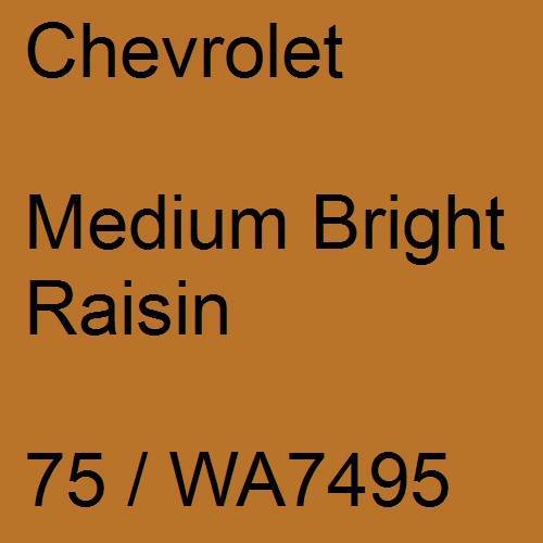 Chevrolet, Medium Bright Raisin, 75 / WA7495.